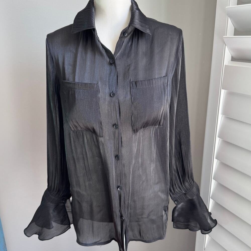 DAZY Black Sheer Shimmer Poet Blouse Top Medium Whimsygoth Ruffle Sleeve